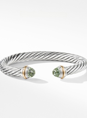 欧美时尚个性简约百搭s925银手镯女气质高级感轻奢小众7mm手环