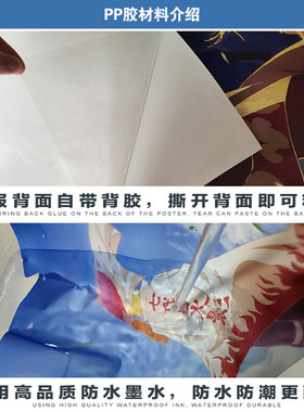 动物图片贴画海报