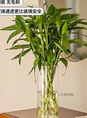 透明水培水养花瓶塑料客厅摆件亚克力大插花高级感富贵竹防摔