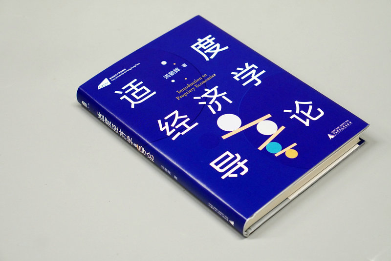 【官方正版】大学问· 适度经济学导论   洪朝辉/著  经济学 西方经济学 适度经济学  广西师范大学出版社 - 图1