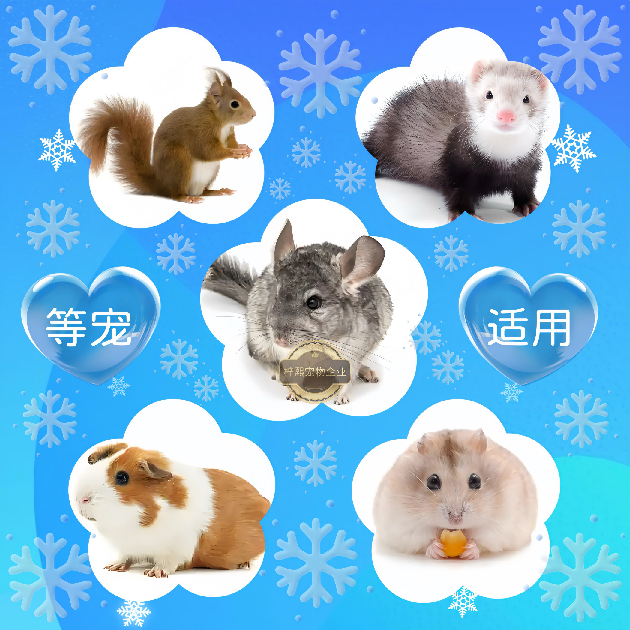 宠物貂冰屋龙猫电子温度显示冰窝仓鼠降温空调屋内置柜笼外置冰窝,淘宝优惠券,粉丝福利购,淘宝优惠卷