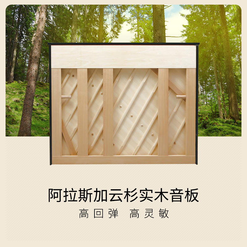 儿童初学全新真刚琴租赁 德国原装进口钢琴专业考级幼师家用立式 儿童初学全新真刚琴租赁 德国原装进口钢琴专业考级幼师家用立式
