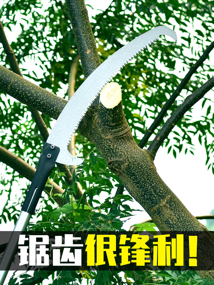 锯树用什么锯,_大山谷图库