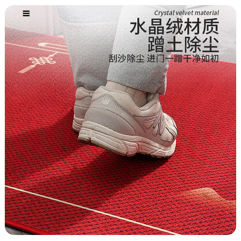 入户地垫进门家用耐脏高级感门垫除尘防滑地毯大门口室内玄关脚垫,淘宝优惠券,粉丝福利购,淘宝优惠卷