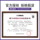 Yamaha, электронное профессиональное пианино для начинающих, официальный флагманский магазин, 88 клавиш