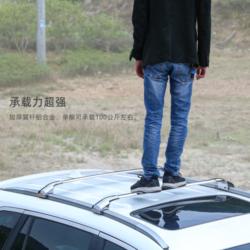 拓鹰专用于魏牌拿铁DHT虎钳式加厚铝合金车顶横杆载重横杠行李架 - 图2
