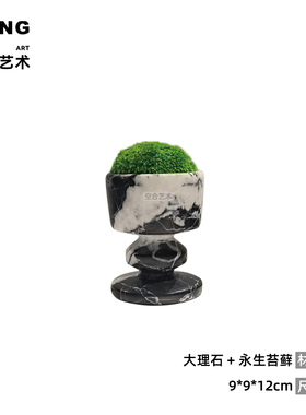 永生苔藓盆景仿真植物微景观