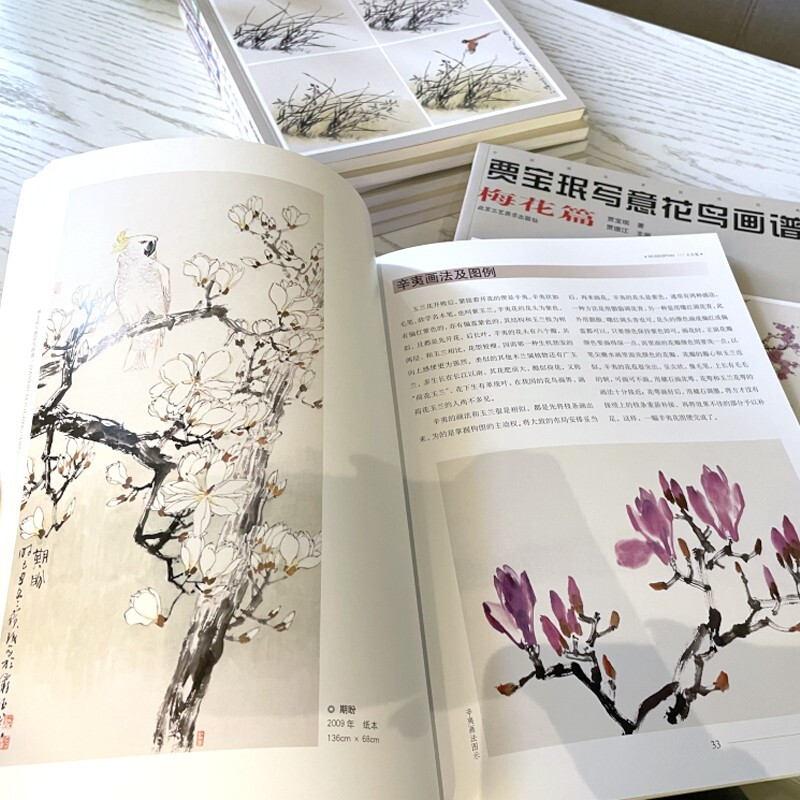 官方正版贾宝珉写意花鸟画谱全7册雉科鹰鹤菊花兰草墨竹木本山石梅花篇艺术绘画国画临摹画册技法书籍-图2