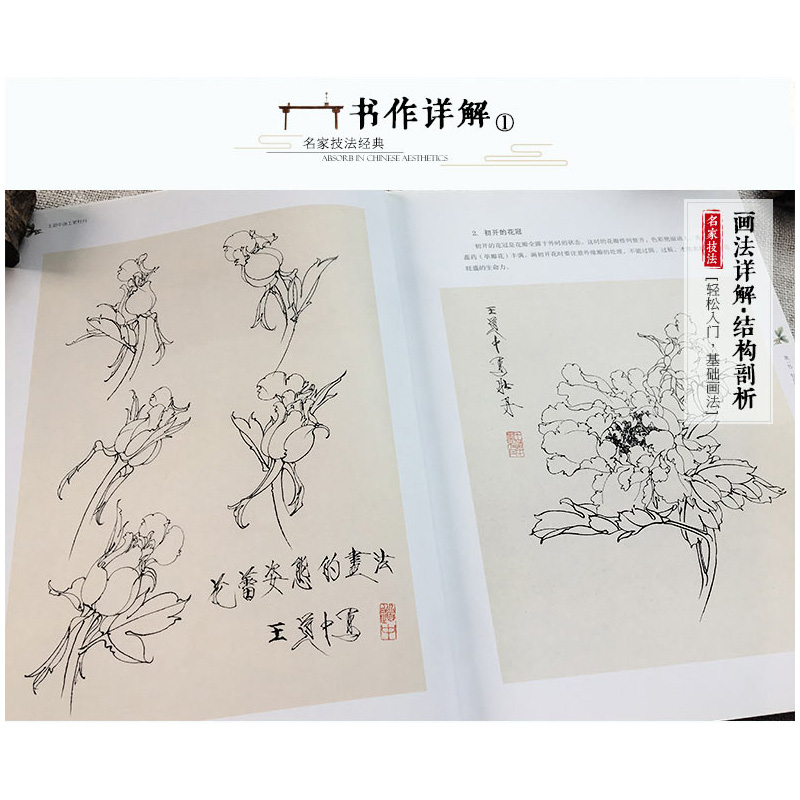 正版 王道中画工笔牡丹(中国名家技法经典) 牡丹结构名称及基市画法 王乃青 著 工艺美术类 北京工艺美术出版社 图书 - 图0