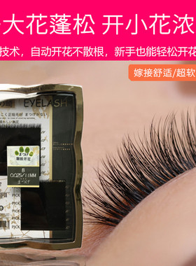 松之崎无胶开花睫毛一秒自动