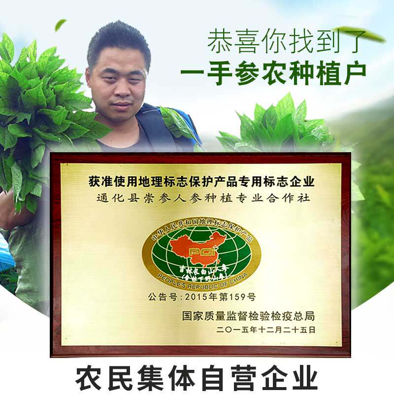 长白山正品红参片500g无糖五年切片 崇参人参/园参及其制品