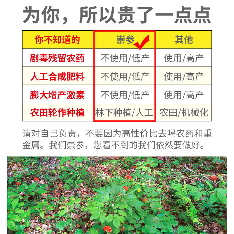 长白山正品红参片500g无糖五年切片 崇参人参/园参及其制品