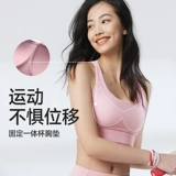 暴走的萝莉 Противоударное высокопрочное спортивное нижнее белье, бюстгалтер для кормящих грудью, жилет для спортзала, для бега
