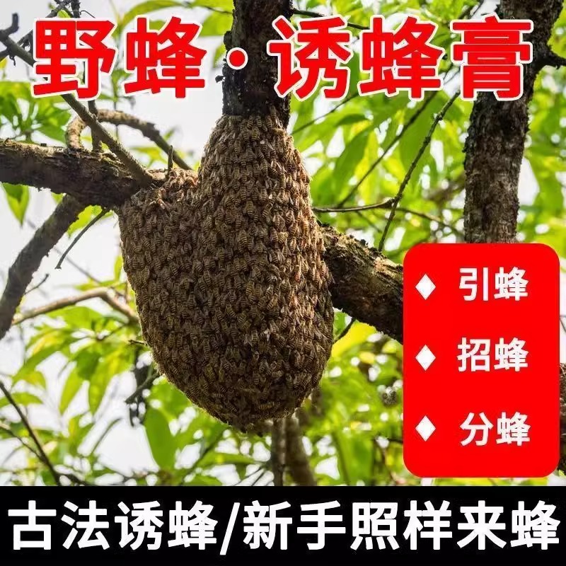 诱蜂膏神器蜂蜡诱蜜蜂野外用中土蜂引蜂养蜂专用工具神奇招引蜂水