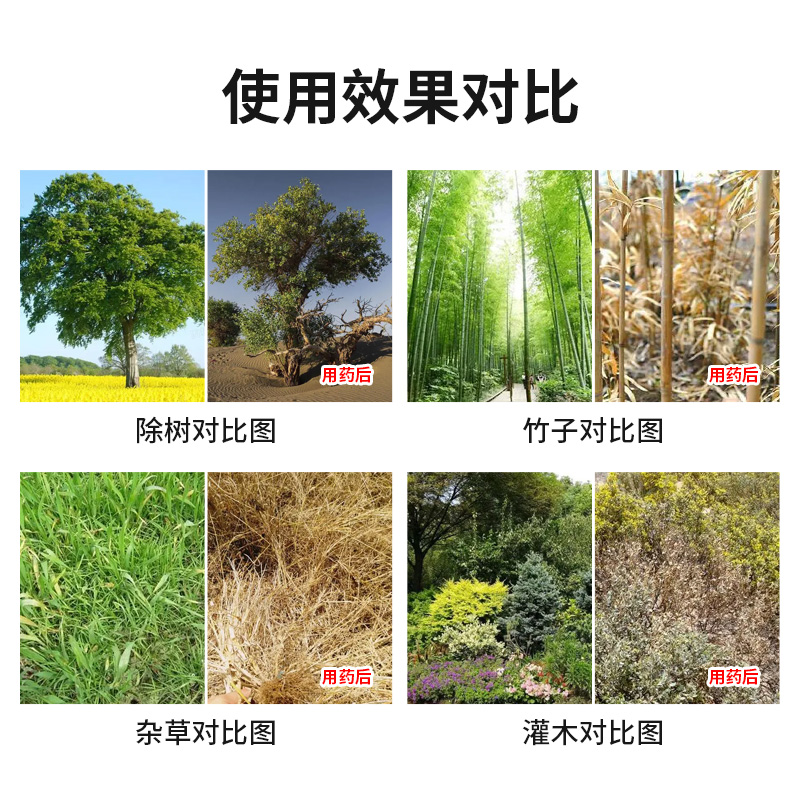 灭树粉烂根粉灭根粉专用剂强力除大树竹子杀树王死树除草烂根剂-图1