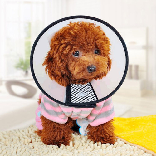 Pet Protective Collar Dog Neck Recovery Cone Collar Anti-Bit-图2