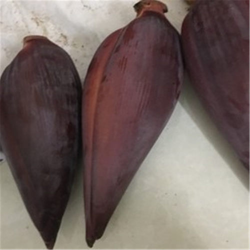 漫泉河 新鲜芭蕉心 芭蕉花 香蕉花大蕉花蕾蕉蕾鲜食花卉 - 图0