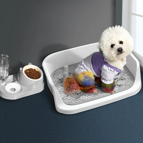 Собачья туалет среднего размера