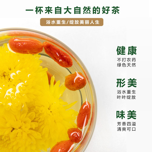 康玥轩德皇菊菊花茶皇菊袋装黄菊花茶熬夜茶饮 - 图0