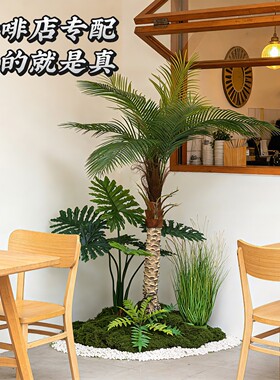 仿真棕榈树植物针葵造景绿植景观