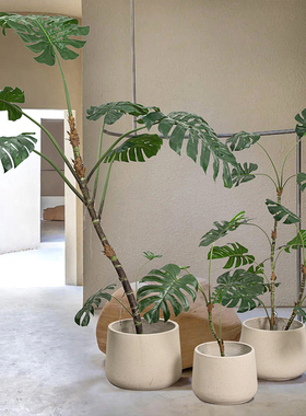 仿真绿植异形大龟背竹热带植物