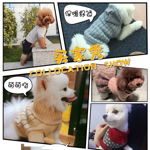 Собачья одежда осень и зимняя плюшка Белоки Бомеа Корки щенки