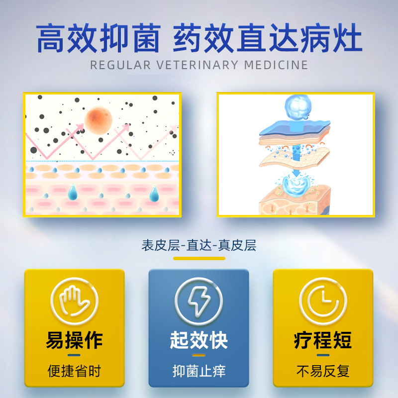 金盾利达宁软膏猫藓狗狗皮肤病狗藓皮炎湿疹溃疡螨虫专用外用药膏,淘宝优惠券,粉丝福利购,淘宝优惠卷