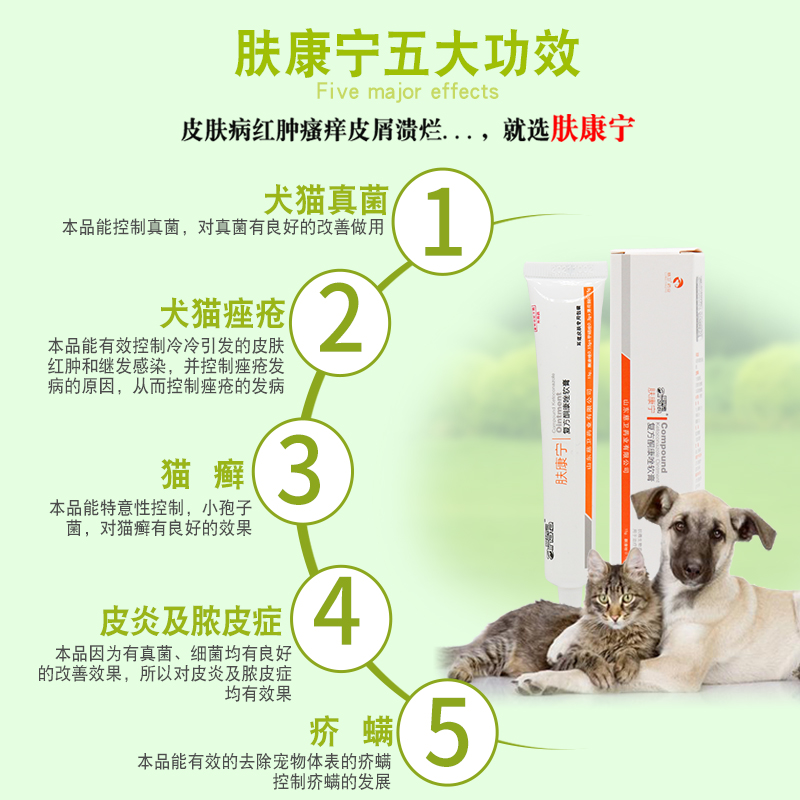 爱纳它肤康宁宠物狗狗皮肤病犬螨虫狗真菌脓皮皮屑猫癣狗瘙痒消炎 - 图1