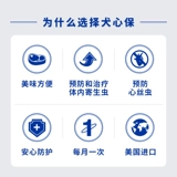 Сердце собаки внутренние собаки маленькие собаки 6 сорок бокс -собаки водители собак плюшевые собаки любимых собак с собаками