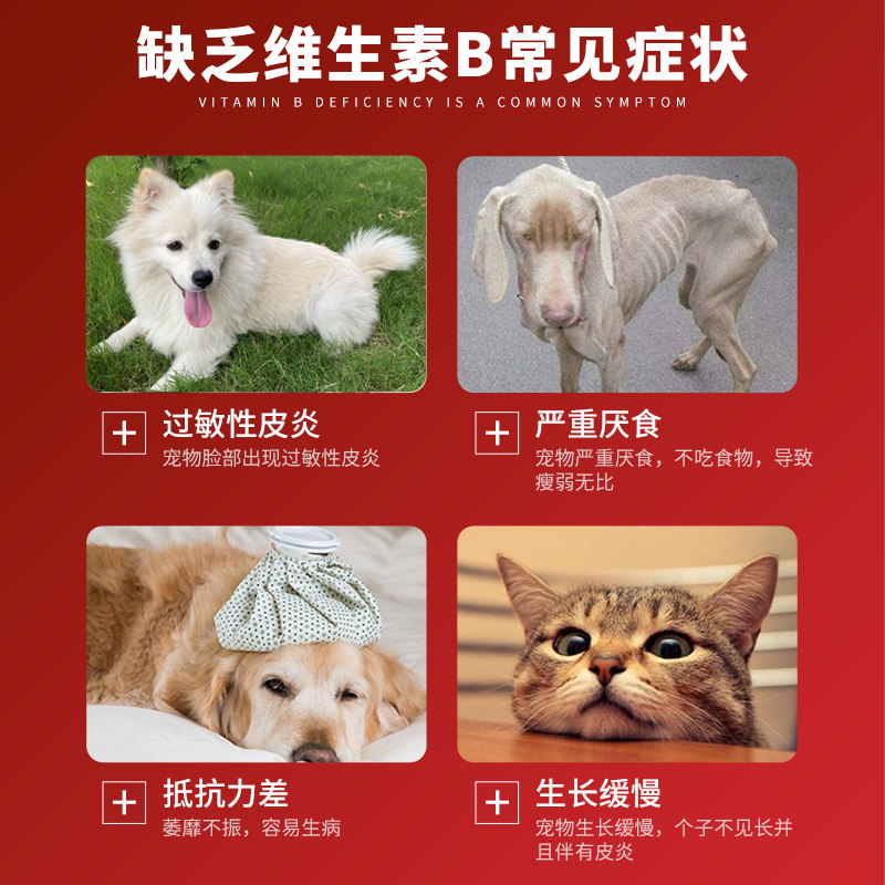金盾达维宠物猫咪狗狗补血狗猫用保肝补血液复合维生素B溶液