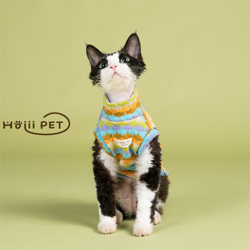 HOiii PET 秋冬彩色毛衣背心德文猫衣服无毛猫保暖加厚潮流针织衫 - 图3