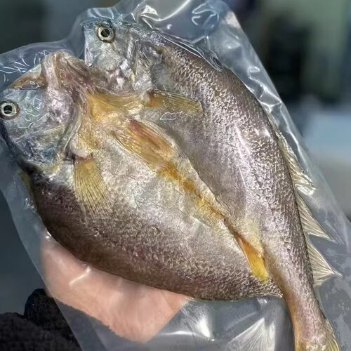 舟山特产渔家风味晒制鱼干 深水生态脱脂黄鱼鲞1条6-8两 3条包邮 - 图1
