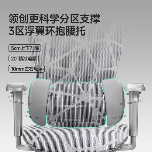 【政府补贴15%】人体工学椅子办公舒适久坐靠背转座椅电竞电脑椅 - 图0