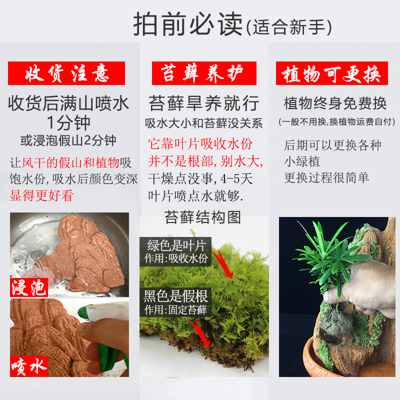 养好发货假山盆景吸水造景奇石头天然植物上水山水石原小室内摆件 - 图1