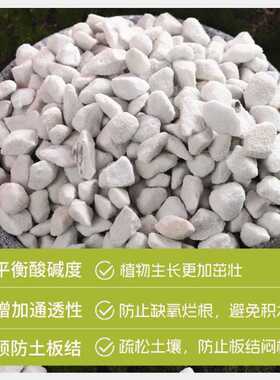 花盆珍珠岩尘大颗粒养花种菜营养多肉拌土种植膨胀保温硬质铺面