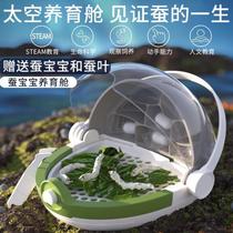 Silkworm Baby Raising Barn Children Students Observe Living Things Space Breeding Silkworm Suit Breeding Box Bionic Cocoon Villa