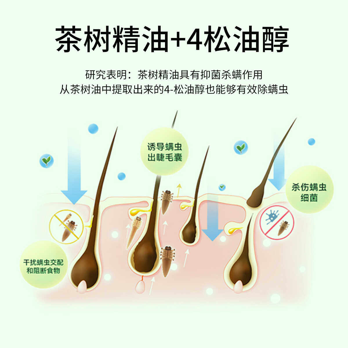 艾思迈茶树油除螨湿巾干眼眼痒掉睫毛缓眼干眼疲劳眼部专用眼贴,淘宝优惠券,粉丝福利购,淘宝优惠卷