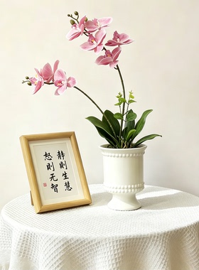 欧式高级感陶瓷花瓶摆件客厅插花蝴蝶兰文心兰石斛兰简约个性花盆