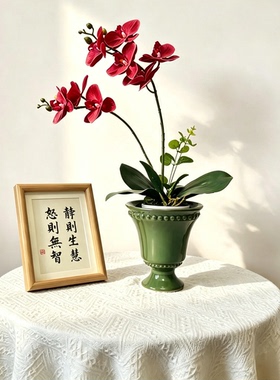 北欧高级感陶瓷花瓶摆件客厅插花蝴蝶兰文心兰石斛兰简约个性花盆