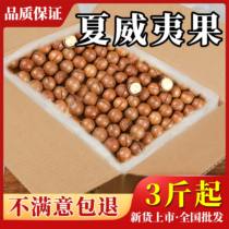 New Goods Hawaii Fruits Nuts 5 Catty 3 Bulk Wholesale Cream Taste Office Snacks Snack Delivery Openings Bulk