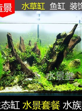 沉木造景套餐 水草缸装饰石青龙石千层天然假山石水族箱造景