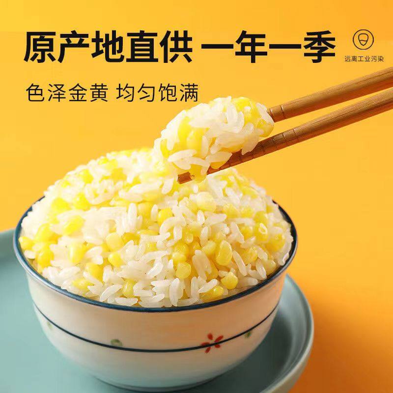 十月稻田香糯玉米大粒中粒1kg五常五谷杂粮煮饭粥脱皮大米伴侣,淘宝优惠券,粉丝福利购,淘宝优惠卷