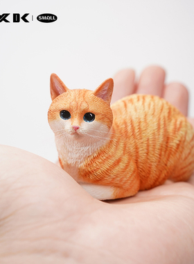 JXK small 快递猫2.0 可爱萌宠治愈猫咪迷你模型摆件礼物手办潮玩