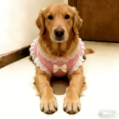 洋气金毛狗狗衣服中大型犬狗狗背心薄款夏季高颜值宠物衣服萨摩耶 - 图1