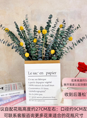 云南尤加利叶天然风干高级感花束