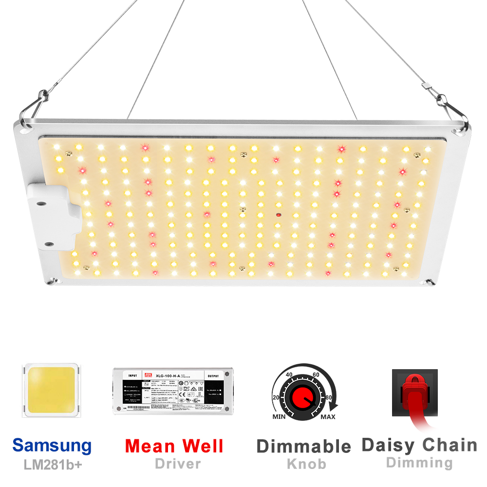 1000W LED植物生长灯多肉补光灯上色全光谱大功率室内大棚种植灯