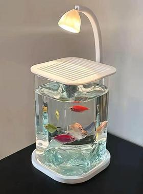 斗鱼专用缸超白小型玻璃缸创意桌面摆件高级感桌面生态缸夜灯