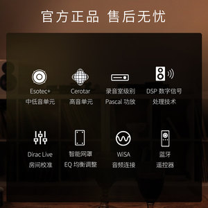 Dynaudio/丹拿 焦点Focus 10有源HiFi丹拿发烧级音响小书架音箱