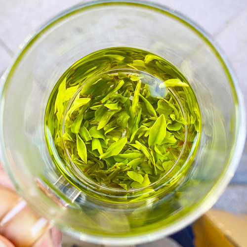 浙江龙井茶43品种碎茶片2026年新茶叶明前龙井茶工艺春茶散装500g - 图0