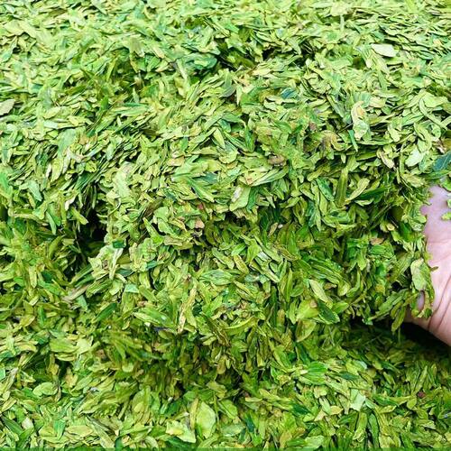 浙江龙井茶43品种碎茶片2026年新茶叶明前龙井茶工艺春茶散装500g - 图3